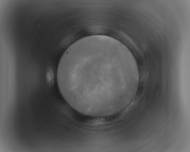X0000102300124200808221429