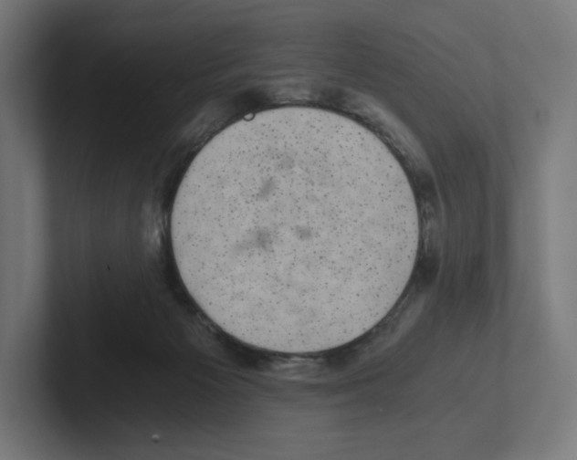 X0000102300125200808221429