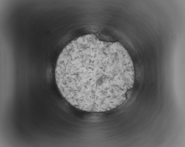 X0000102300128200808221429