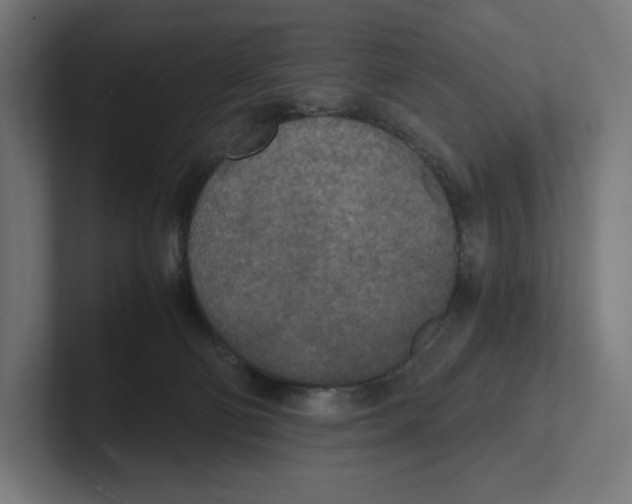 X0000102300130200808221429