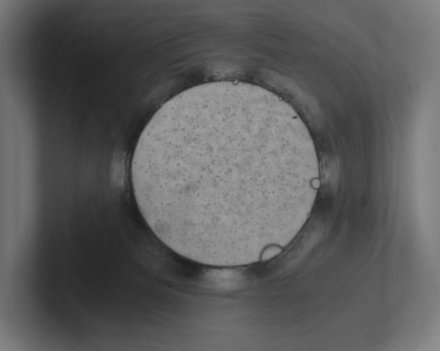 X0000102300133200808221429