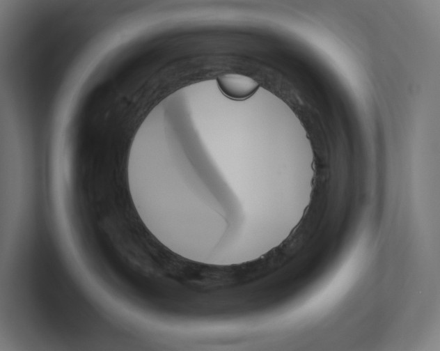X0000102300143200808221429