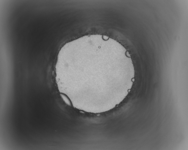 X0000102300144200808221429
