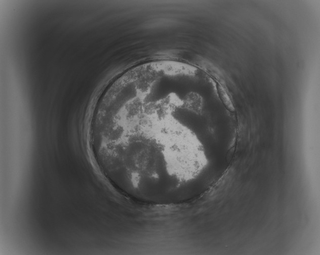 X0000102300145200808221428