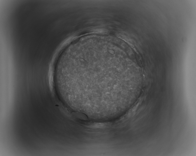 X0000102300149200808221428