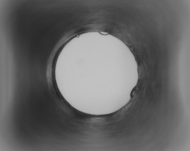 X0000102300150200808221428