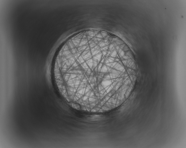 X0000102300151200808221428