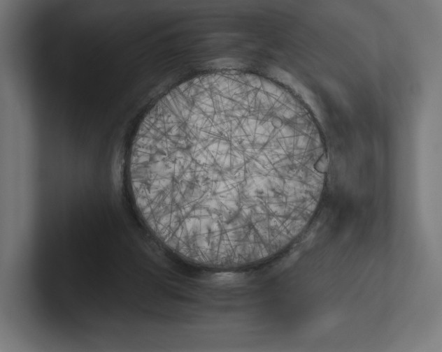 X0000102300153200808221428