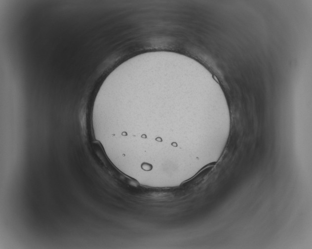 X0000102300154200808221428