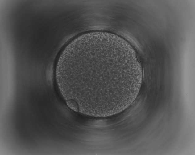X0000102300156200808221428
