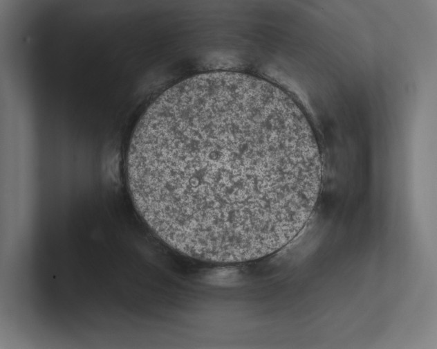 X0000102300162200808221428