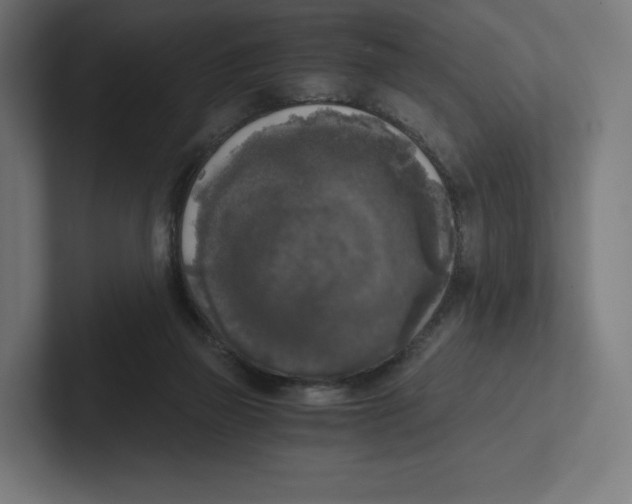 X0000102300165200808221428