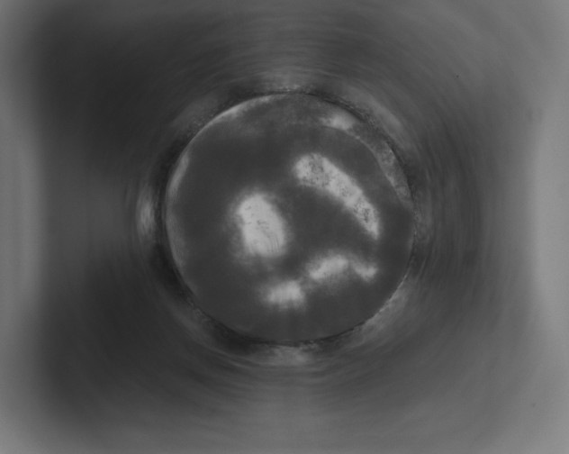 X0000102300166200808221428