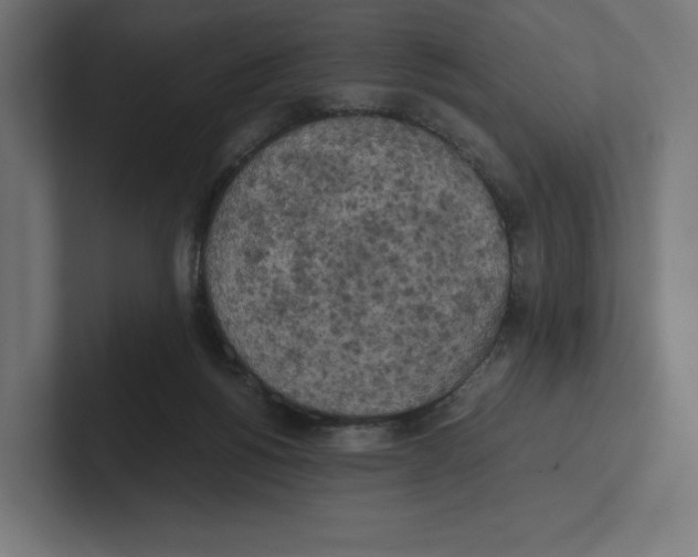 X0000102300168200808221428