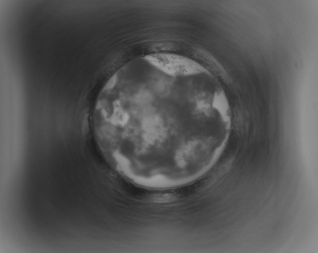 X0000102300169200808221428