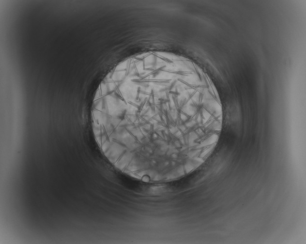X0000102300173200808221428
