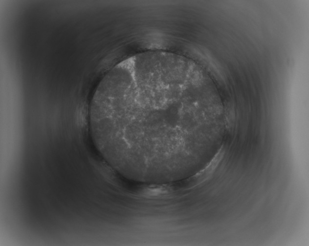 X0000102300175200808221428