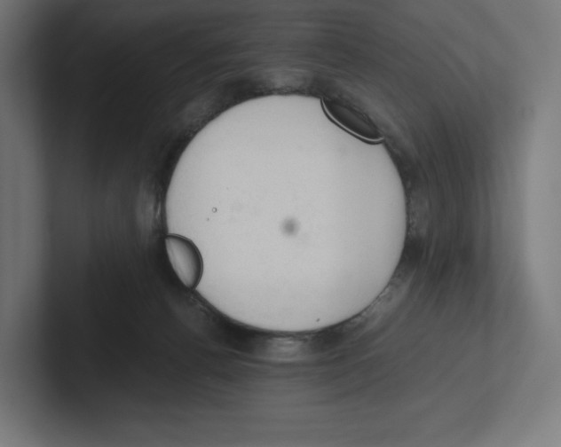 X0000102300176200808221428