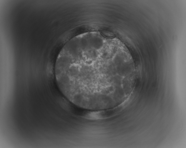 X0000102300178200808221428