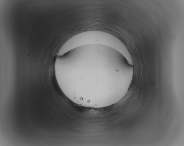 X0000102300180200808221428
