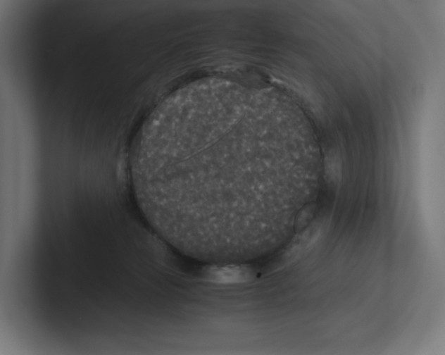 X0000102300181200808221428