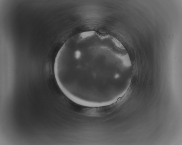 X0000102300182200808221428