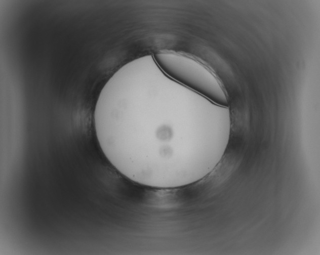 X0000102300184200808221428