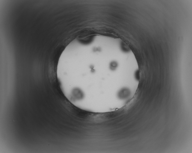 X0000102300186200808221428