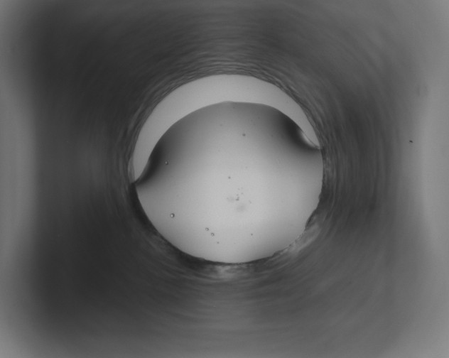 X0000102300188200808221428