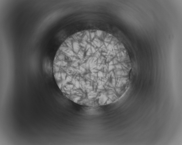 X0000102300191200808221429
