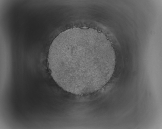 X0000102300192200808221429