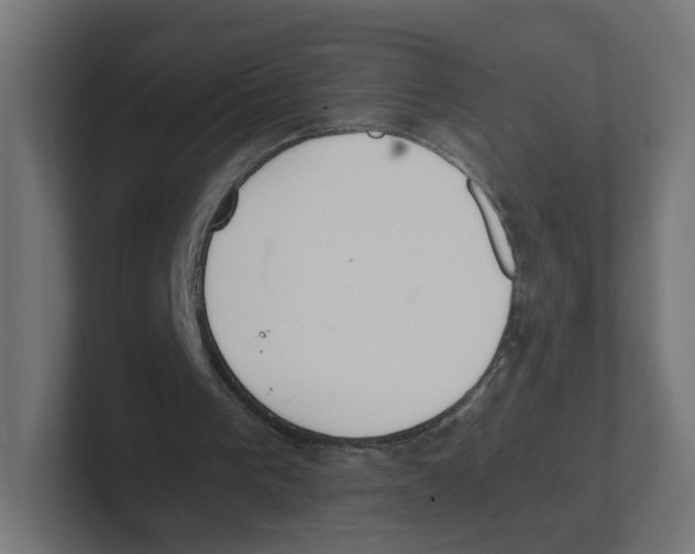 X0000102300193200808221428