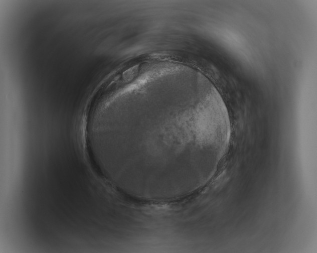 X0000102300194200808221428