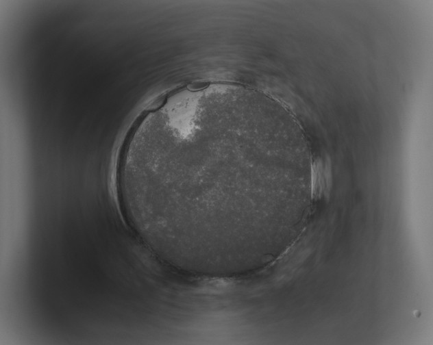 X0000102300195200808221428