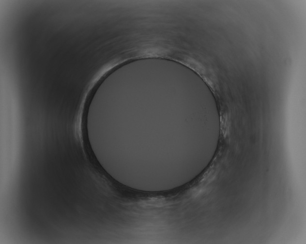 X0000102300196200808221428