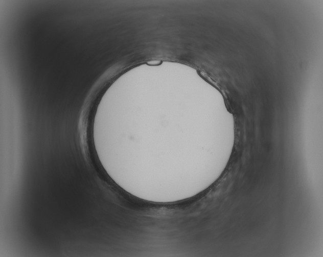 X0000102300197200808221428