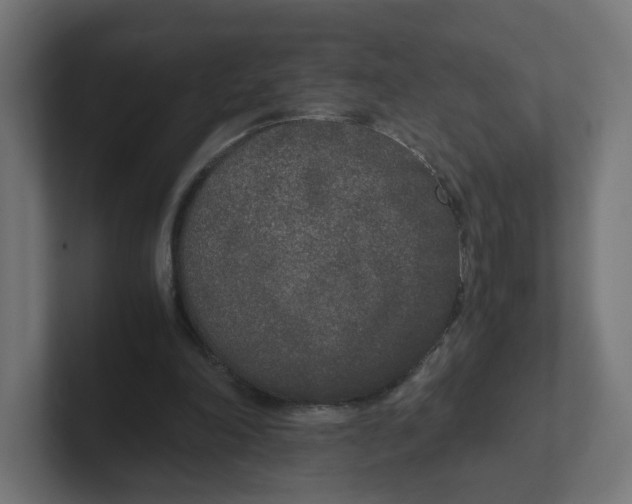 X0000102300198200808221428