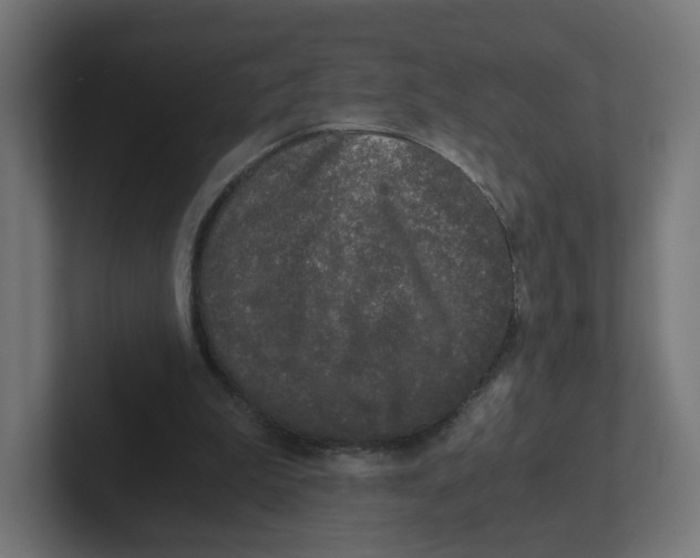 X0000102300199200808221428