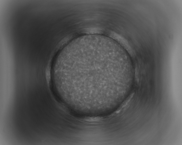 X0000102300202200808221428