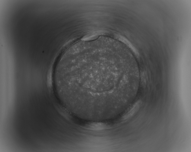 X0000102300203200808221428