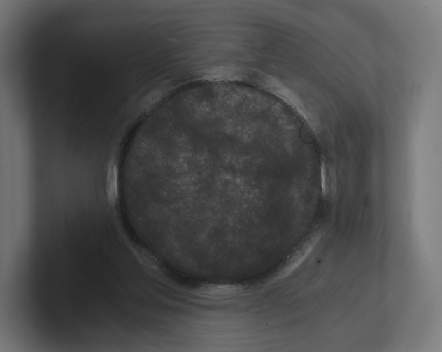 X0000102300205200808221428