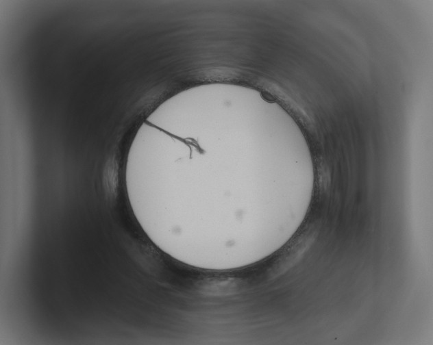 X0000102300206200808221428