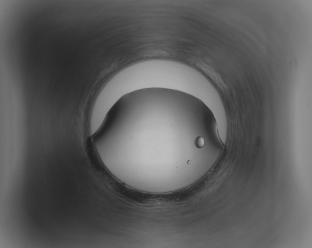 X0000102300207200808221428