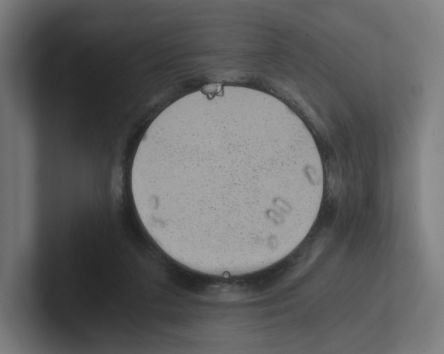 X0000102300211200808221428