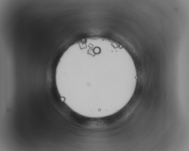 X0000102300215200808221428