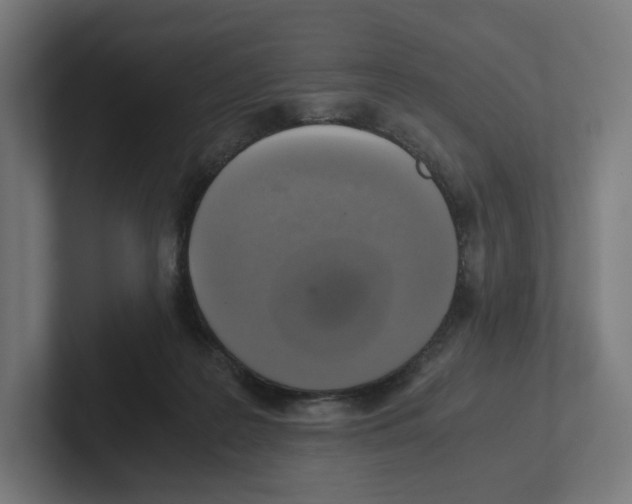 X0000102300219200808221428