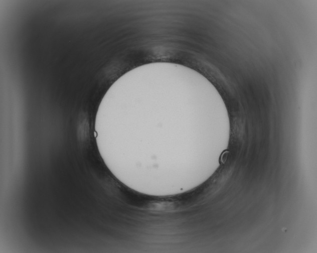 X0000102300220200808221427