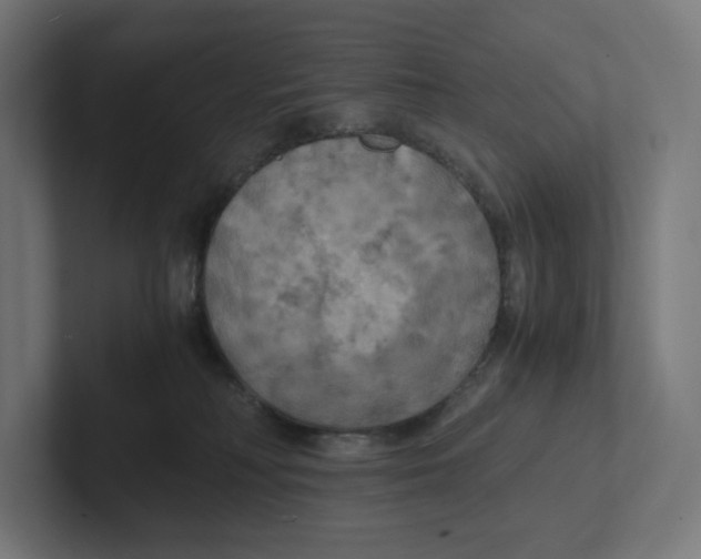 X0000102300230200808221427