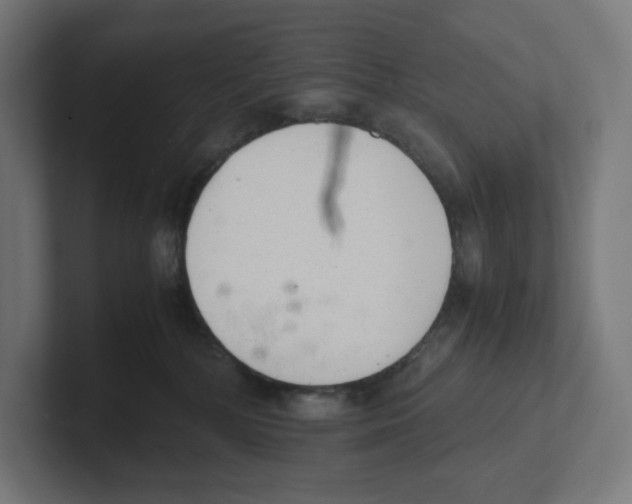 X0000102300232200808221427