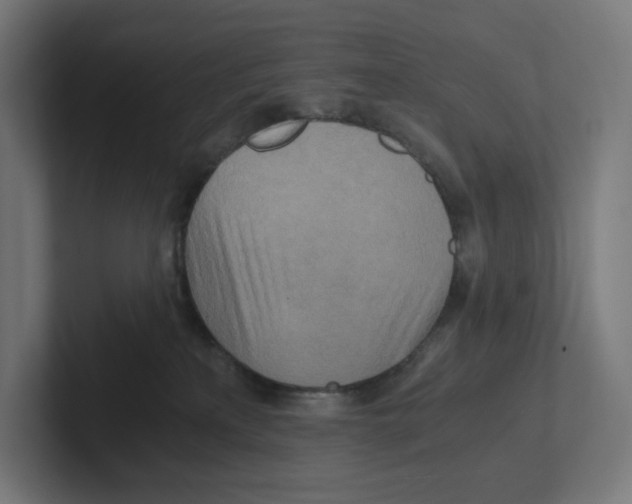 X0000102300233200808221427